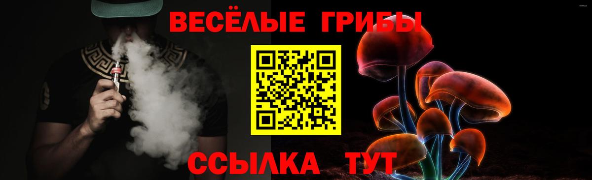 Галлюциногенные грибы MAGIC MUSHROOMS Волхов